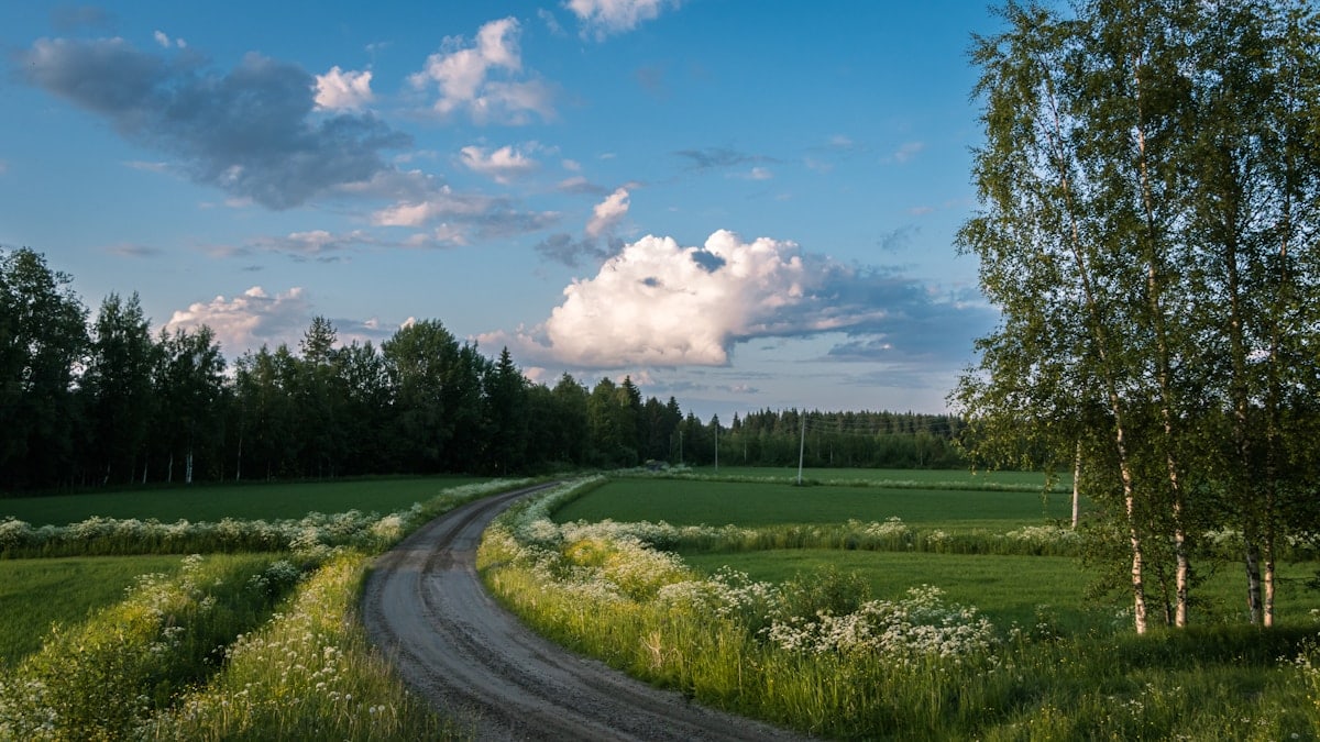 Summer evening vibes from my home countryside.